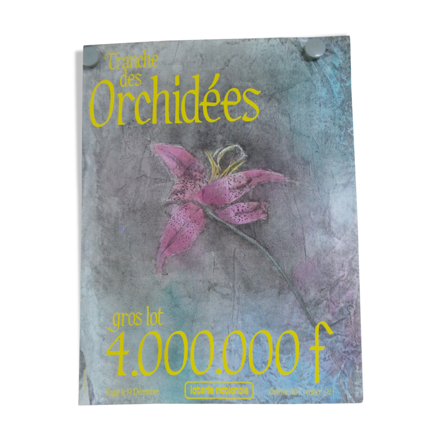 Original National Lottery Orchid Slice Poster 1984