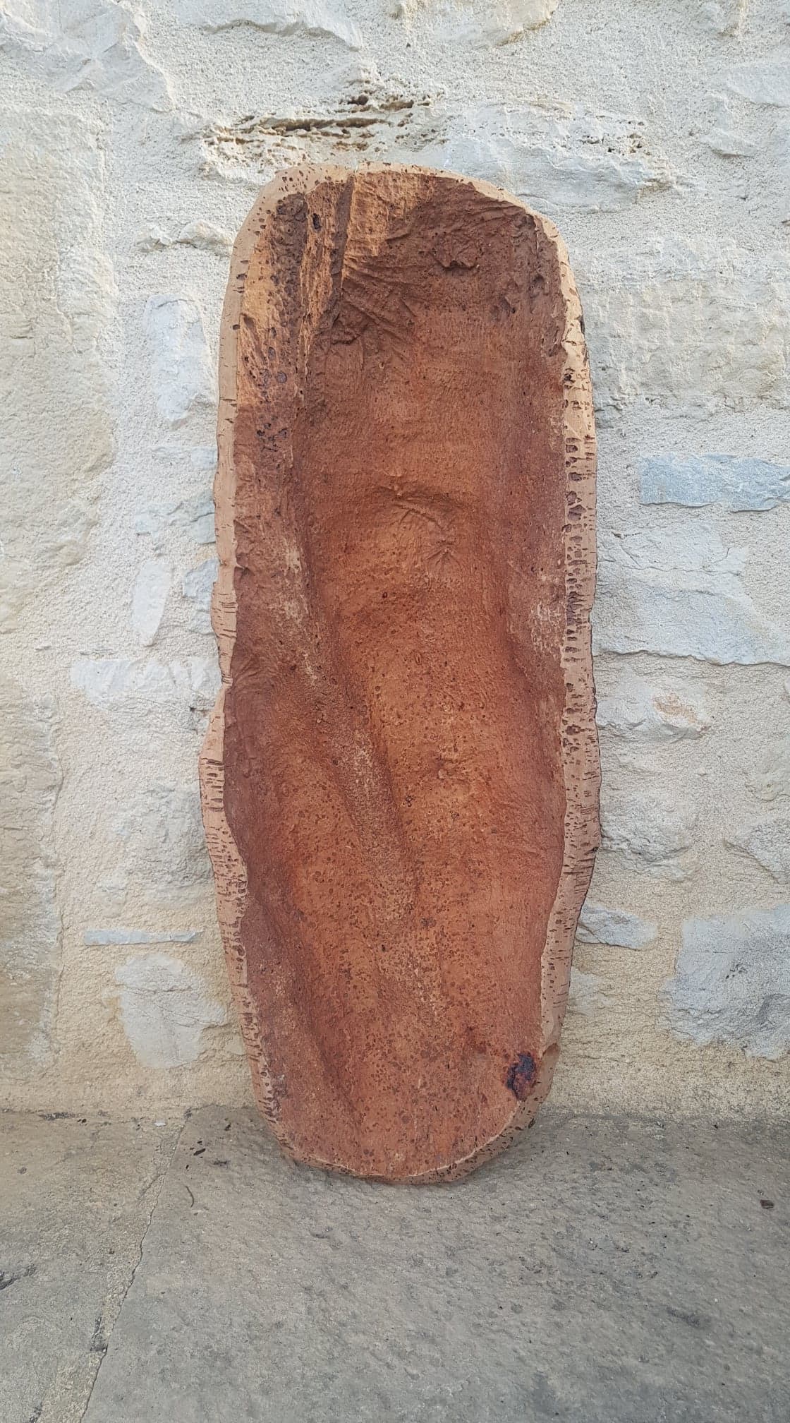 Cork oak bark dish
