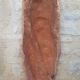 Cork oak bark dish