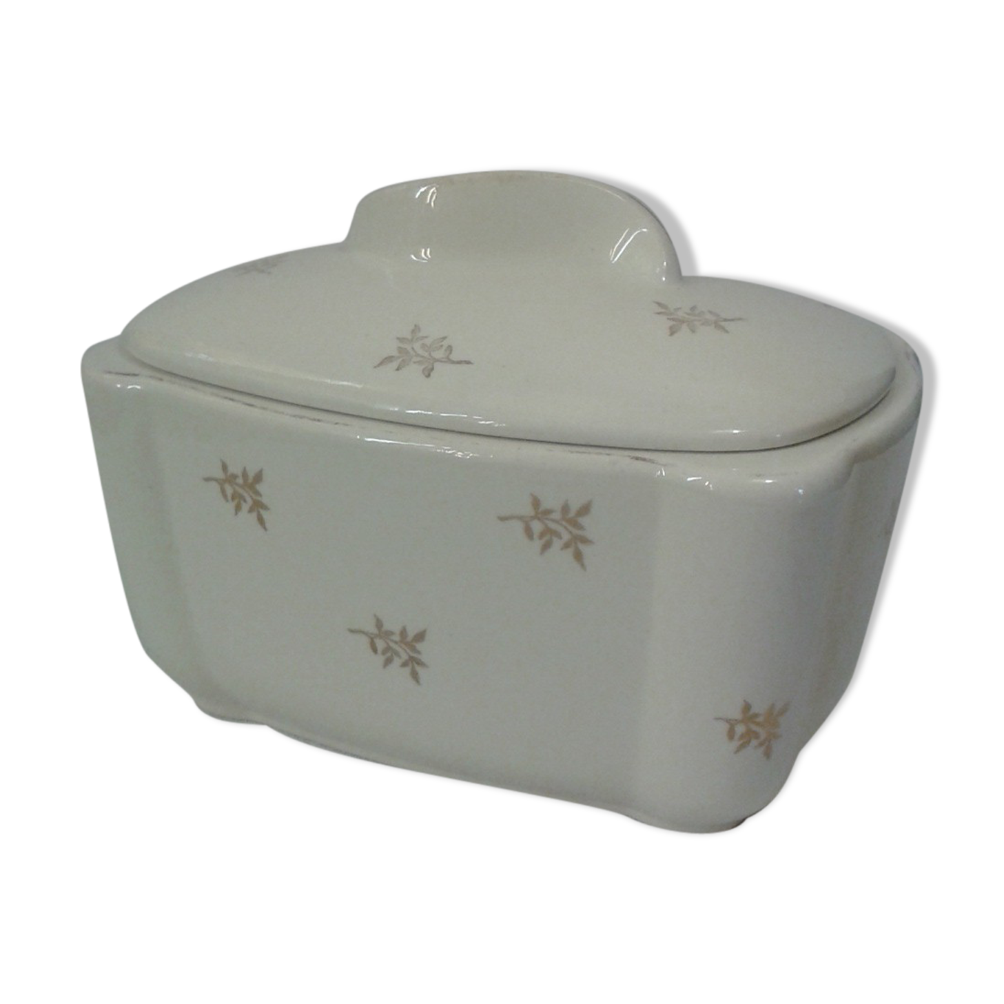 Box earthenware of Salins