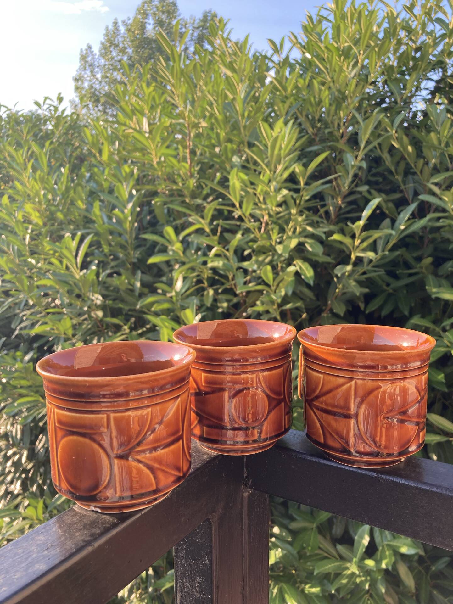 Space Age camel mugs