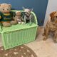 Vintage rattan bench toy chest