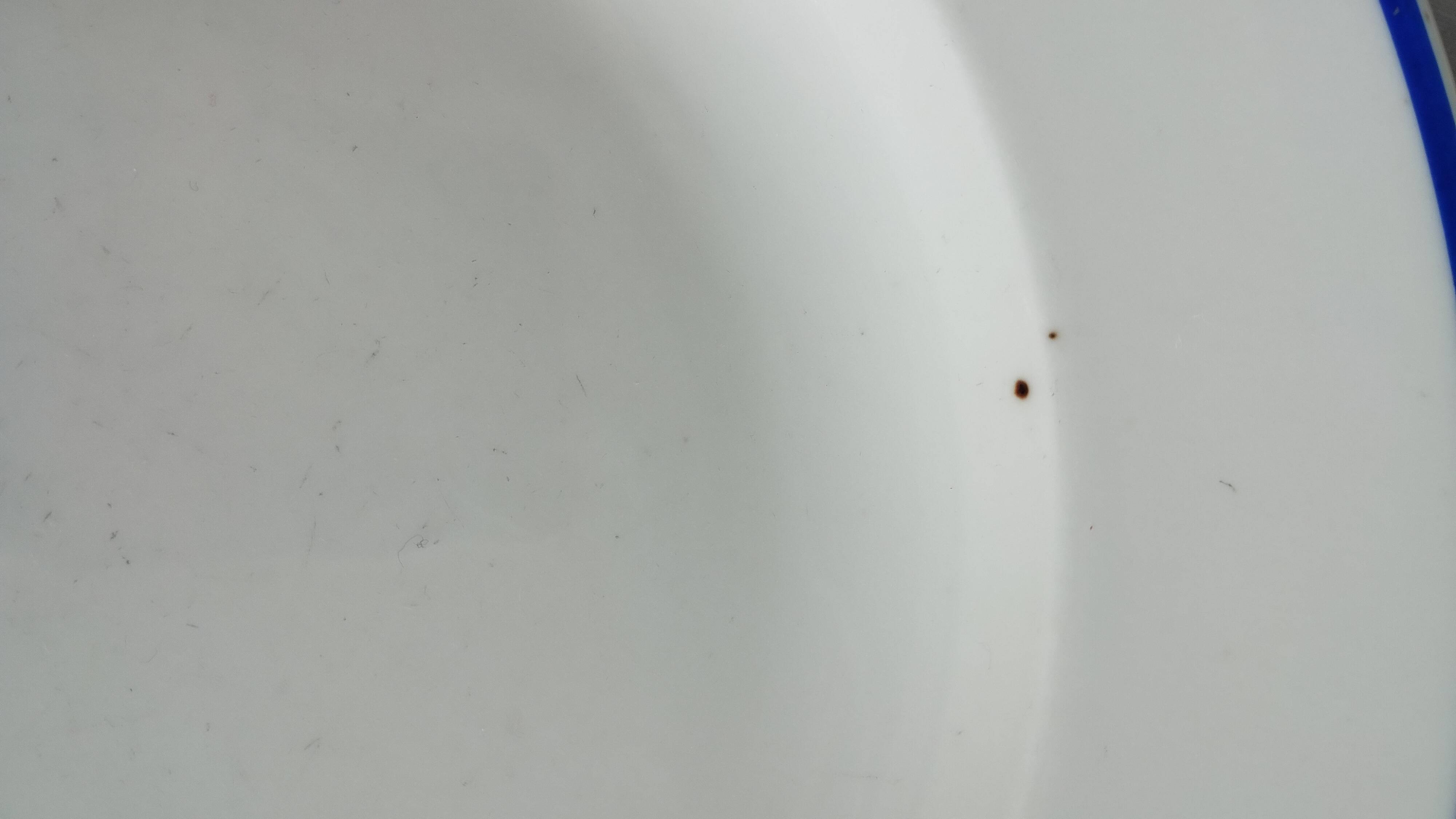 3 Pillivuyt white porcelain dinner plates with blue edging.