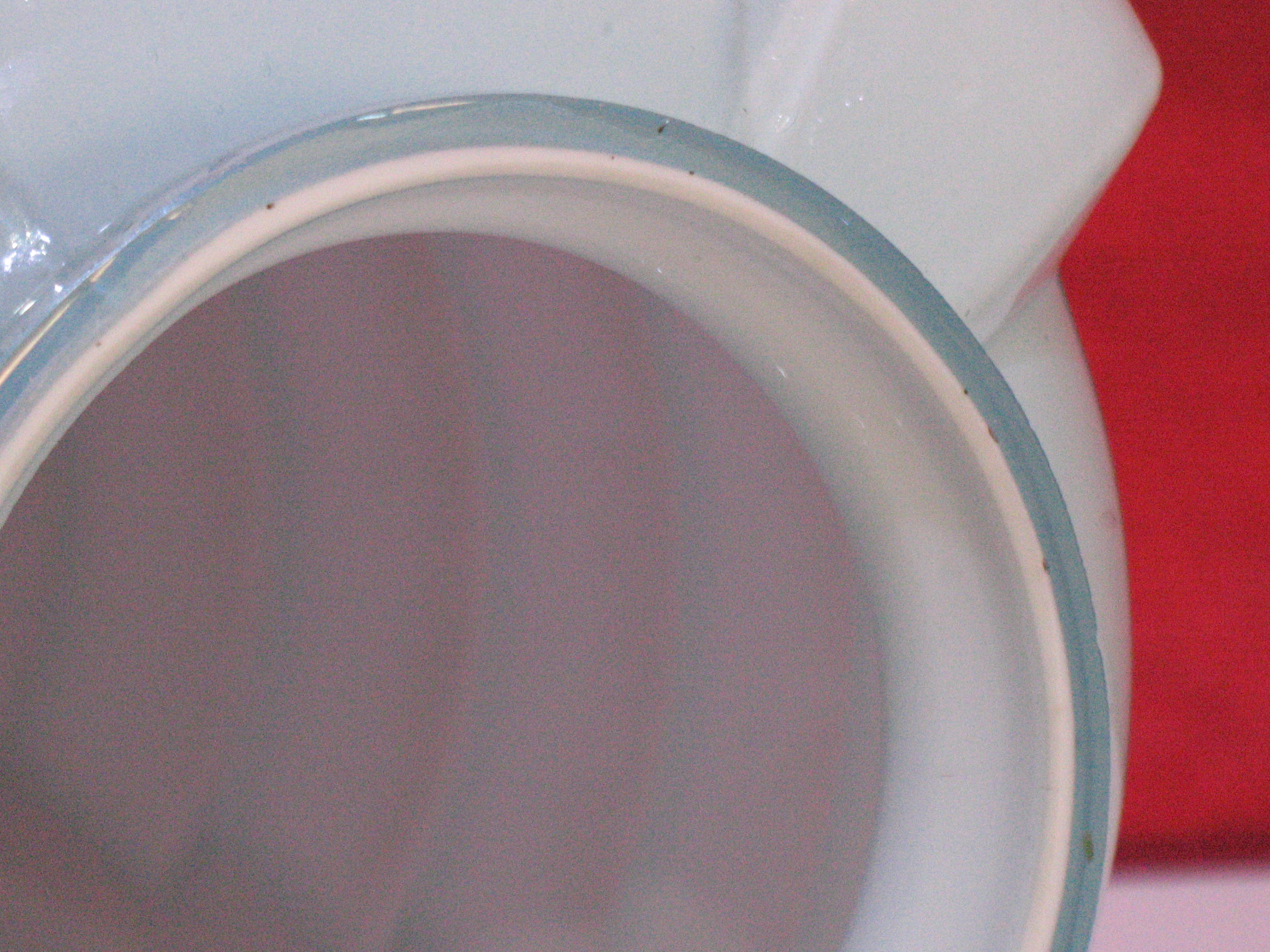 Vase " art nouvelles "