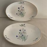 Pair of ravines Digoin Sarreguemines model Myosotis