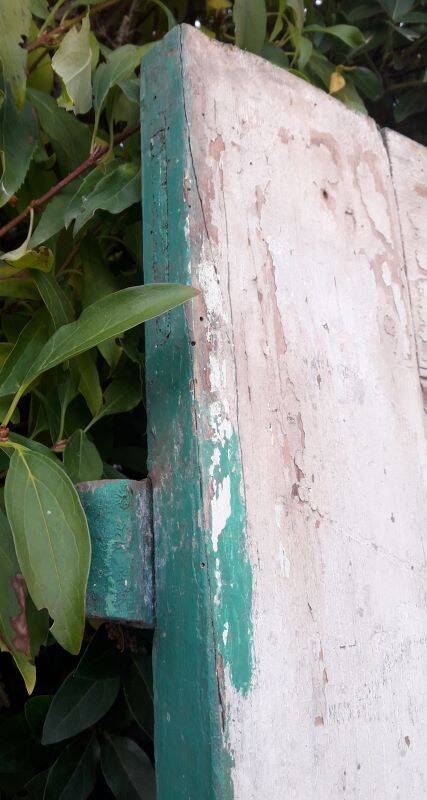 Door H186.5xW75cm with 18th century interior molding