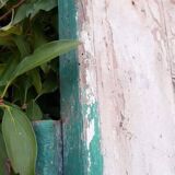 Door H186.5xW75cm with 18th century interior molding