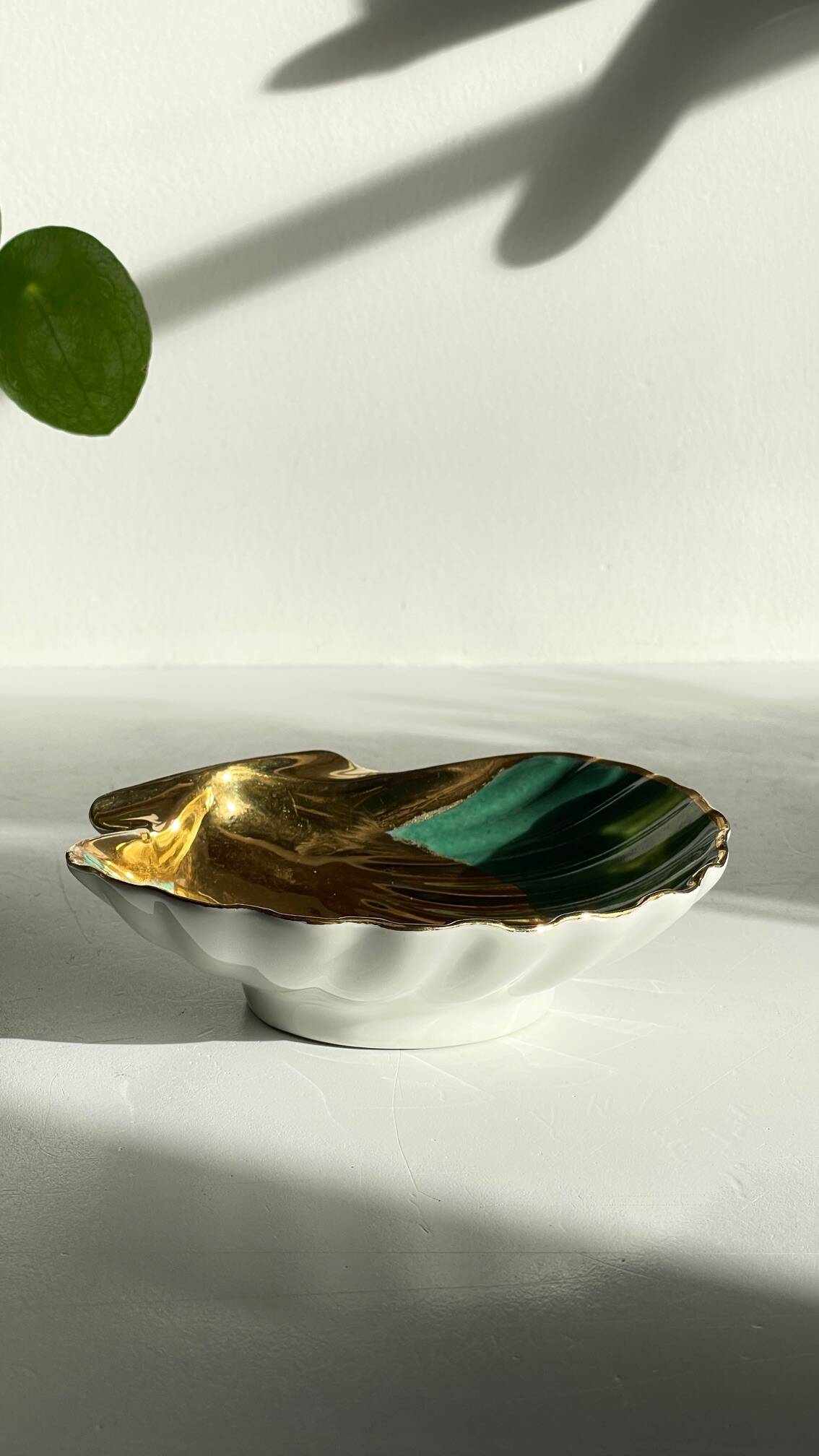 Shell-shaped empty pocket Limoges FRANCE