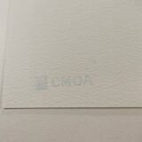 1980 Andy Warhol "Flowers" Limited Edition Lithograph by CMOA.