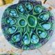 Ceramic oyster dishes signed Vallauris
