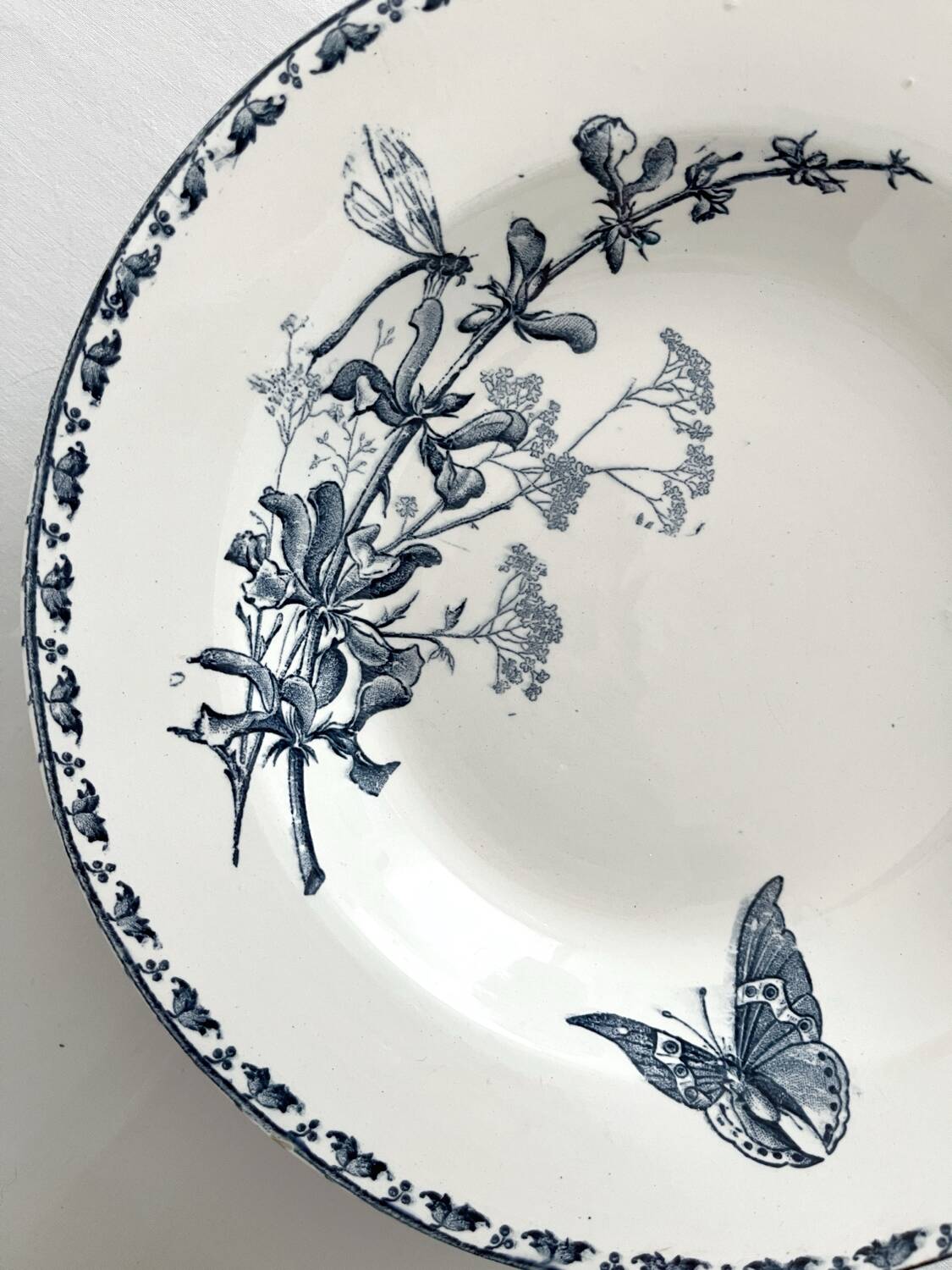 4 deep plates ironstone butterflies "Carmen" Sarreguemines