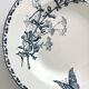 4 deep plates ironstone butterflies "Carmen" Sarreguemines