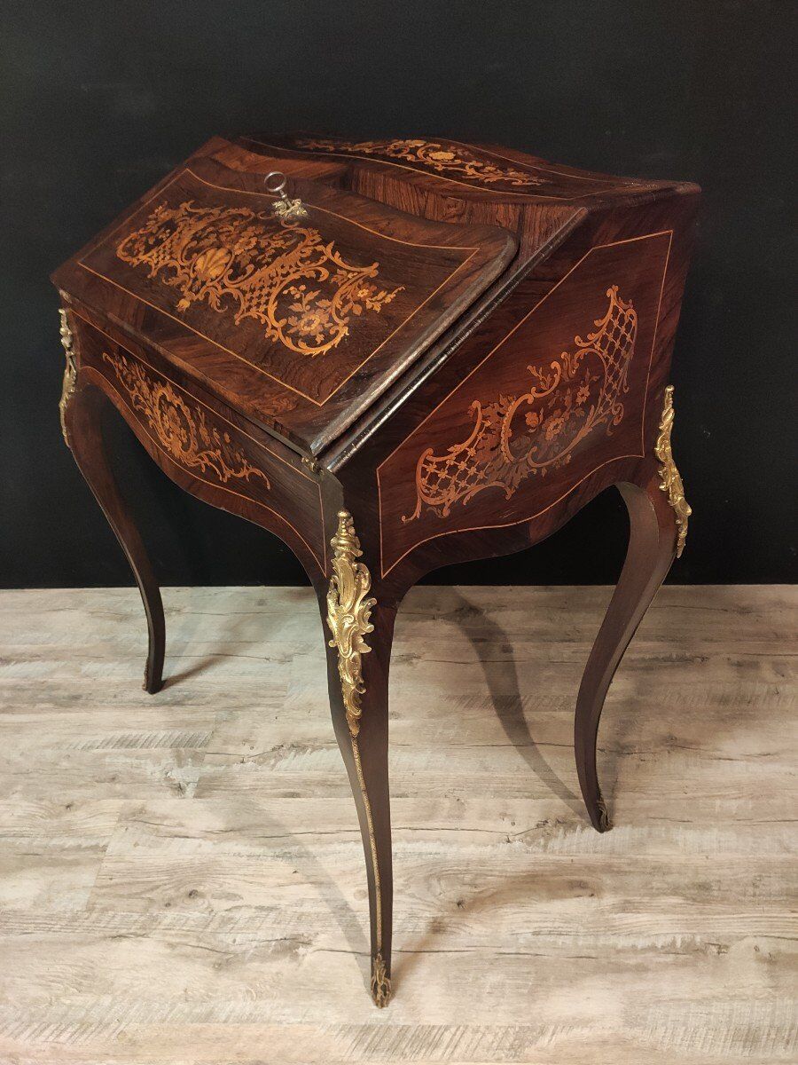 Secretary donkey back Napoléon III style