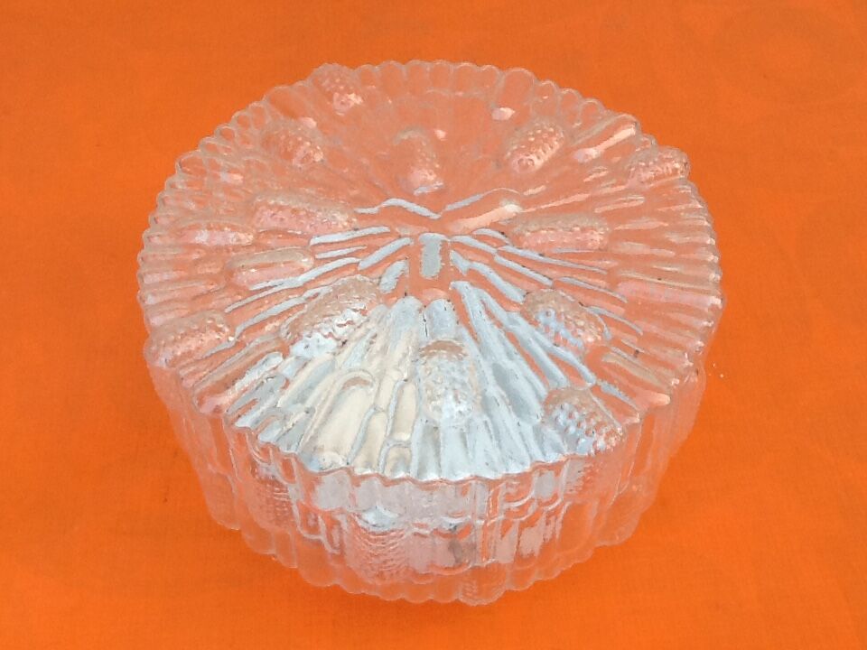 Wall light, transparent glass ceiling light, Concept Design, minimalist style