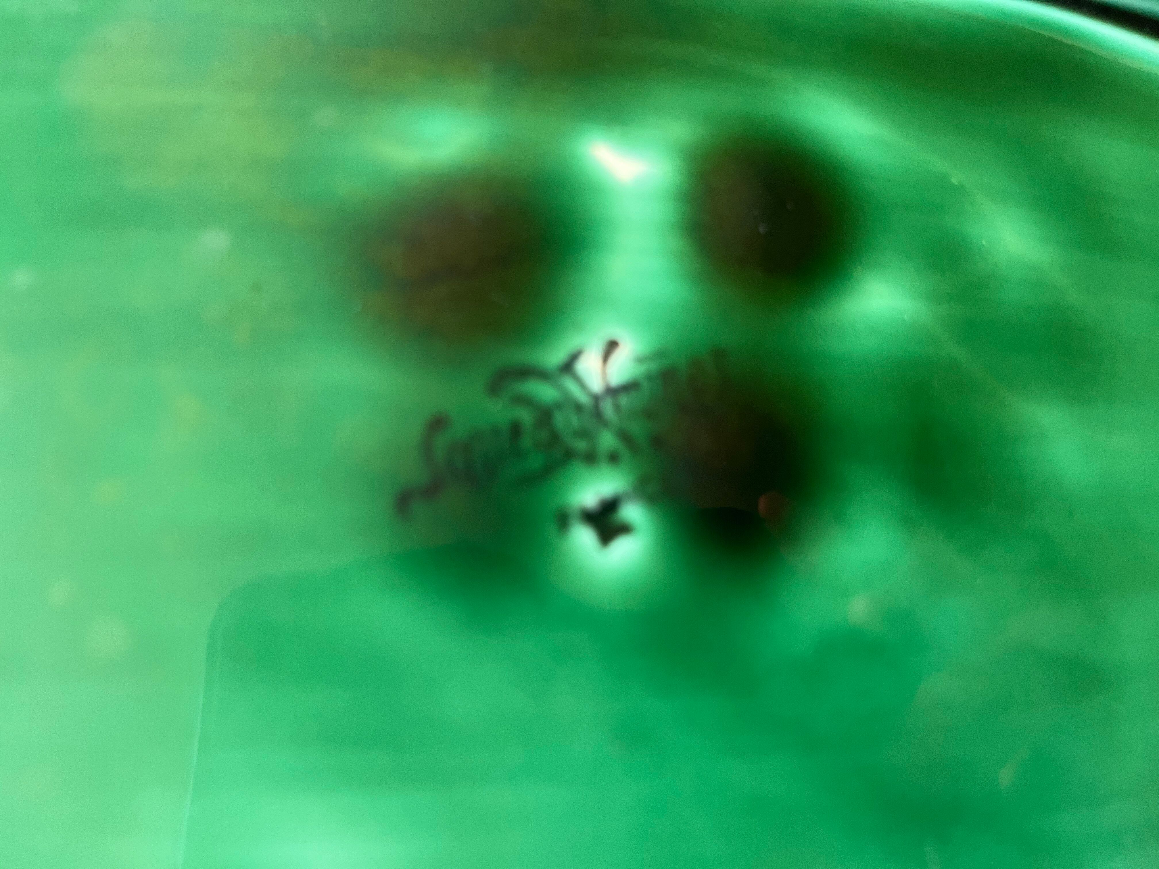 Plat vert poisson Sarreguemines