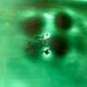 Plat vert poisson Sarreguemines