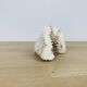 3 old white corals, coral