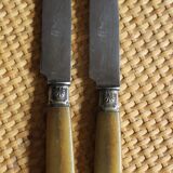 Lot 6 knives Ferrules flower shell blade bakelite steel