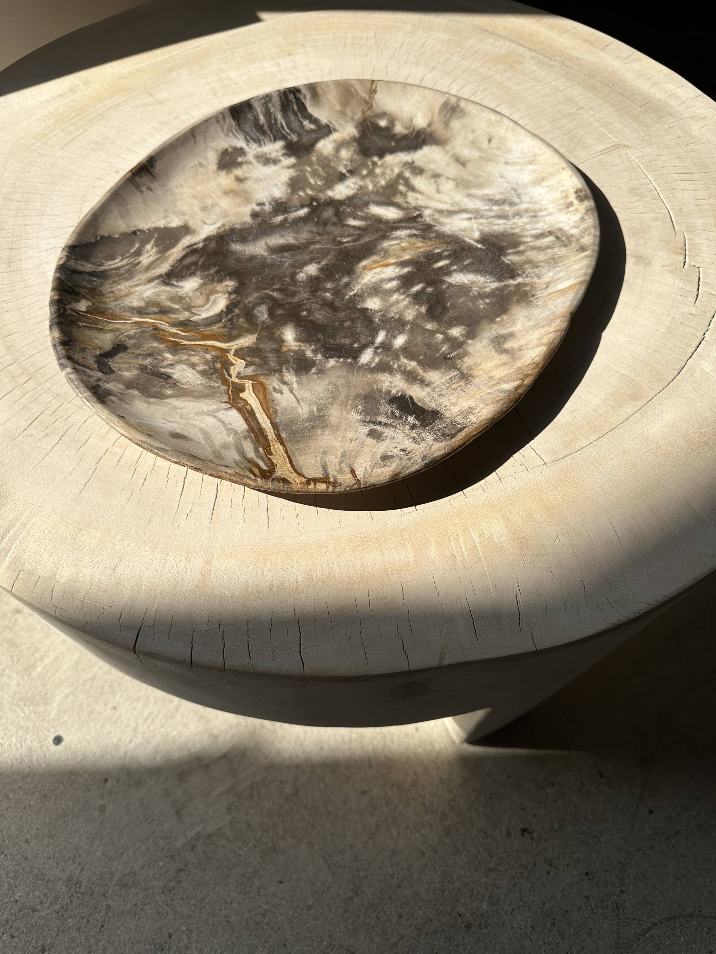Very large pocket or dish in petrified wood