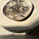 Very large pocket or dish in petrified wood