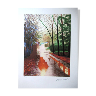 Lithograph by David Hockney, signed and numbered.