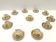 Set of Eleven Porcelain and Pure Gold Coffee Cups by Hutschenreuther, Germa