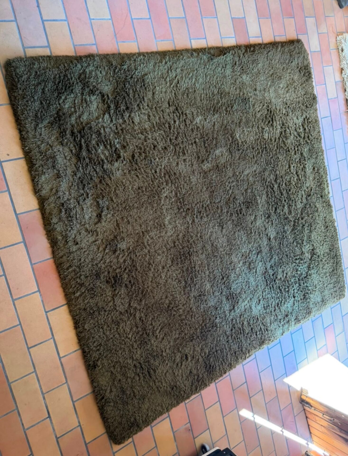 Pure wool carpet