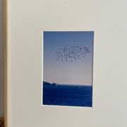 The flight