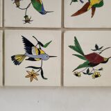 9 tiles tiles tiled earthenware from Gien birds