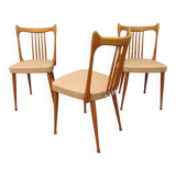 Mid-Century Dutch Organic Design Chairs from Stevens, 1950s, Set of 3