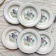 6 soup plates in speckled Italian earthenware "Tiffany" - vintage bird motif