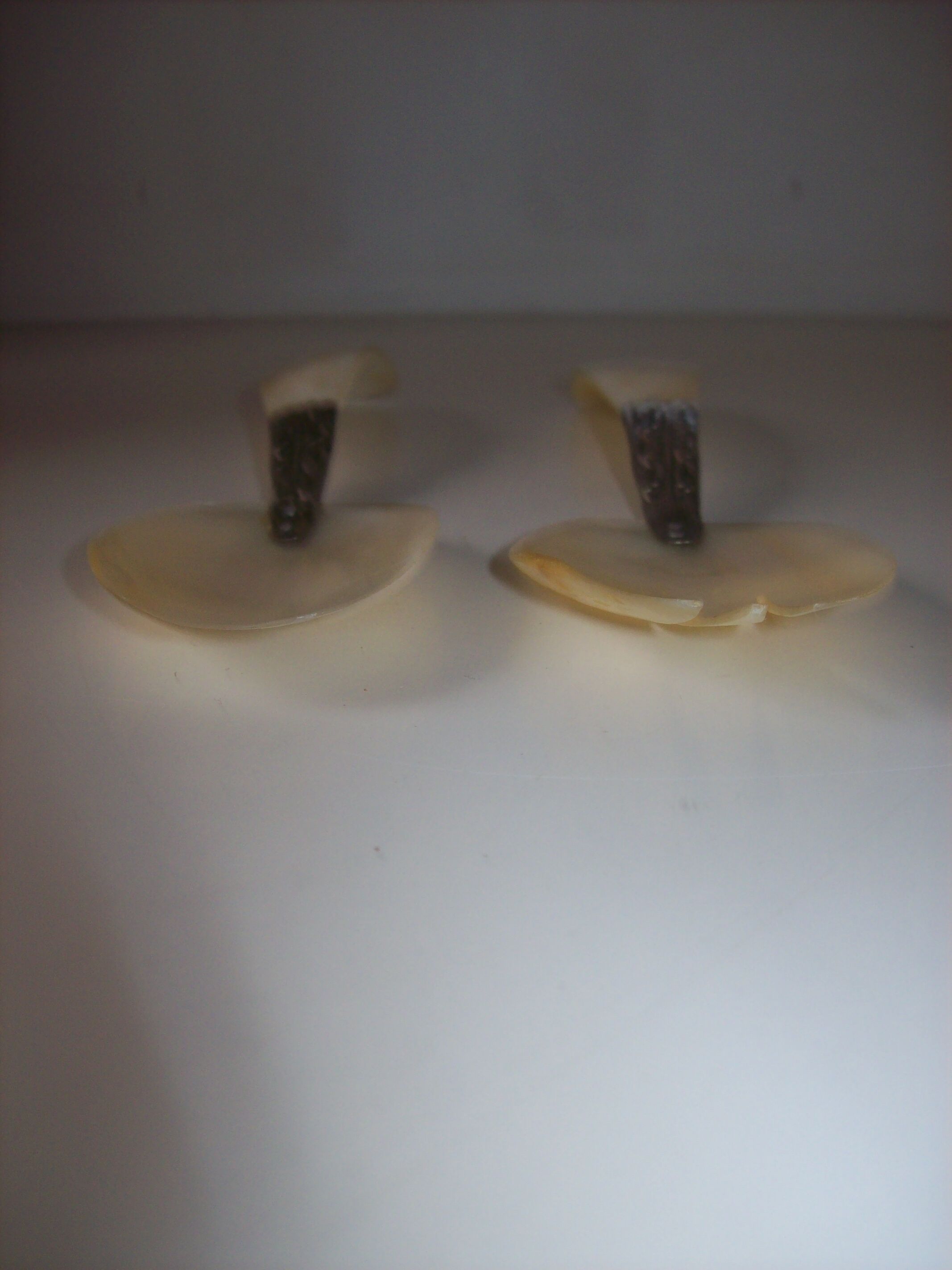 Art Deco mother-of-pearl cutlery