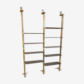 Brass and glass bookcase