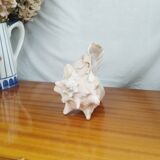 Large Lambi Conch, Marine Curiosity Object, Vintage Seashell