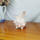Large Lambi Conch, Marine Curiosity Object, Vintage Seashell