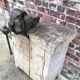 Vintage workbench with vice, old trade furniture