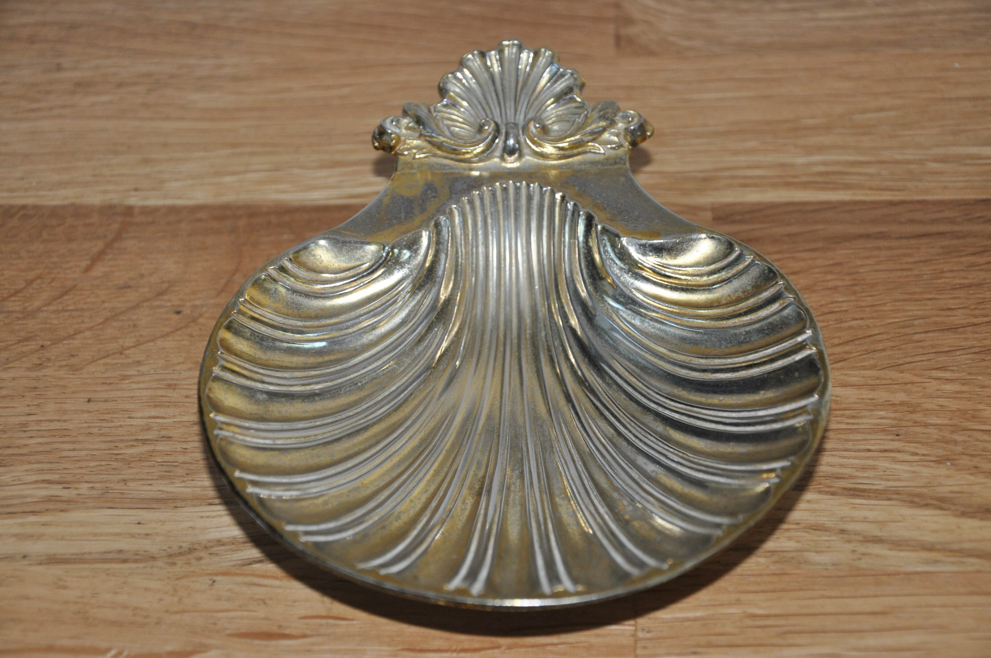 Empty-pocket scallop shell