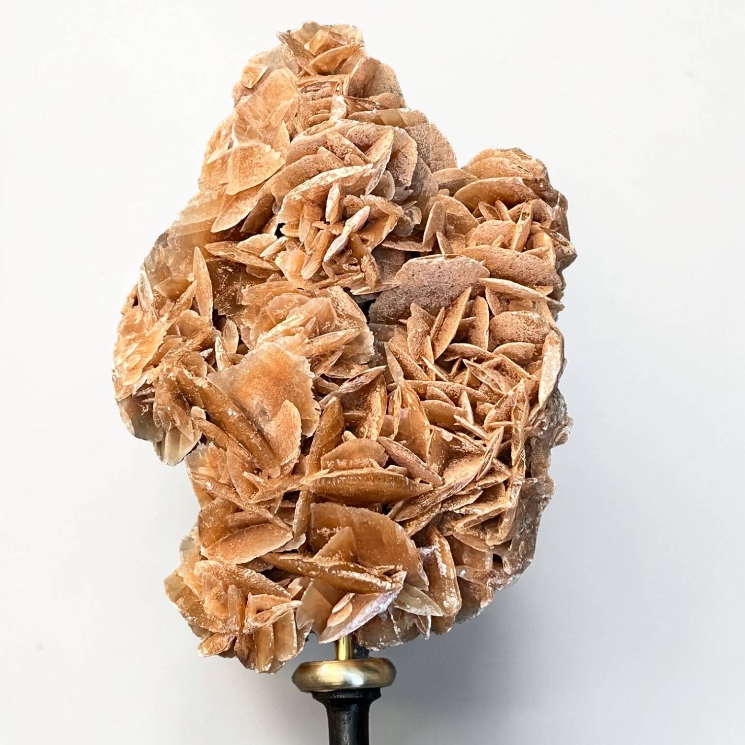 Sand rose on a turned black wooden base, late 19th century curiosities.