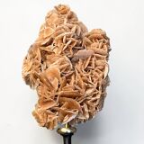 Sand rose on a turned black wooden base, late 19th century curiosities.