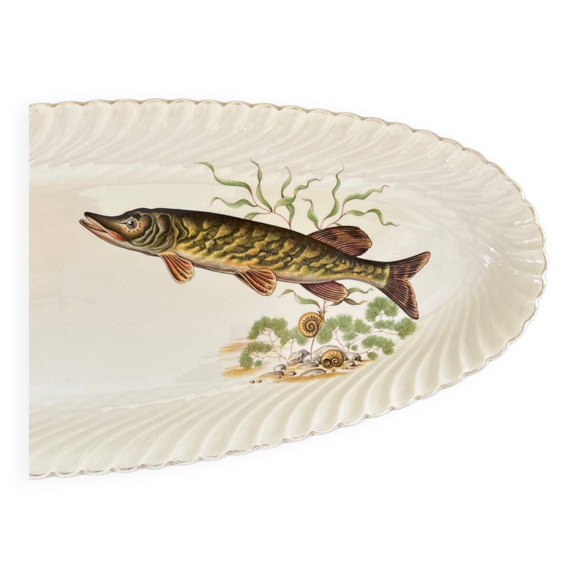 Fish dish Luneville Badonviller