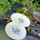Berry cake stand