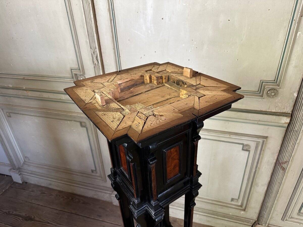 A pedestal table in blackened wood and burl veneer, superb assembly of moldings circa 1880