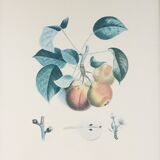 Botanical peach board