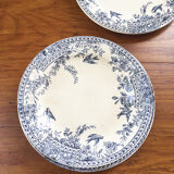 Set 10 plates Fer Fer Cerès