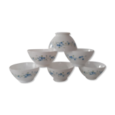 6 bowls VERONICA small blue flowers Arcopal france