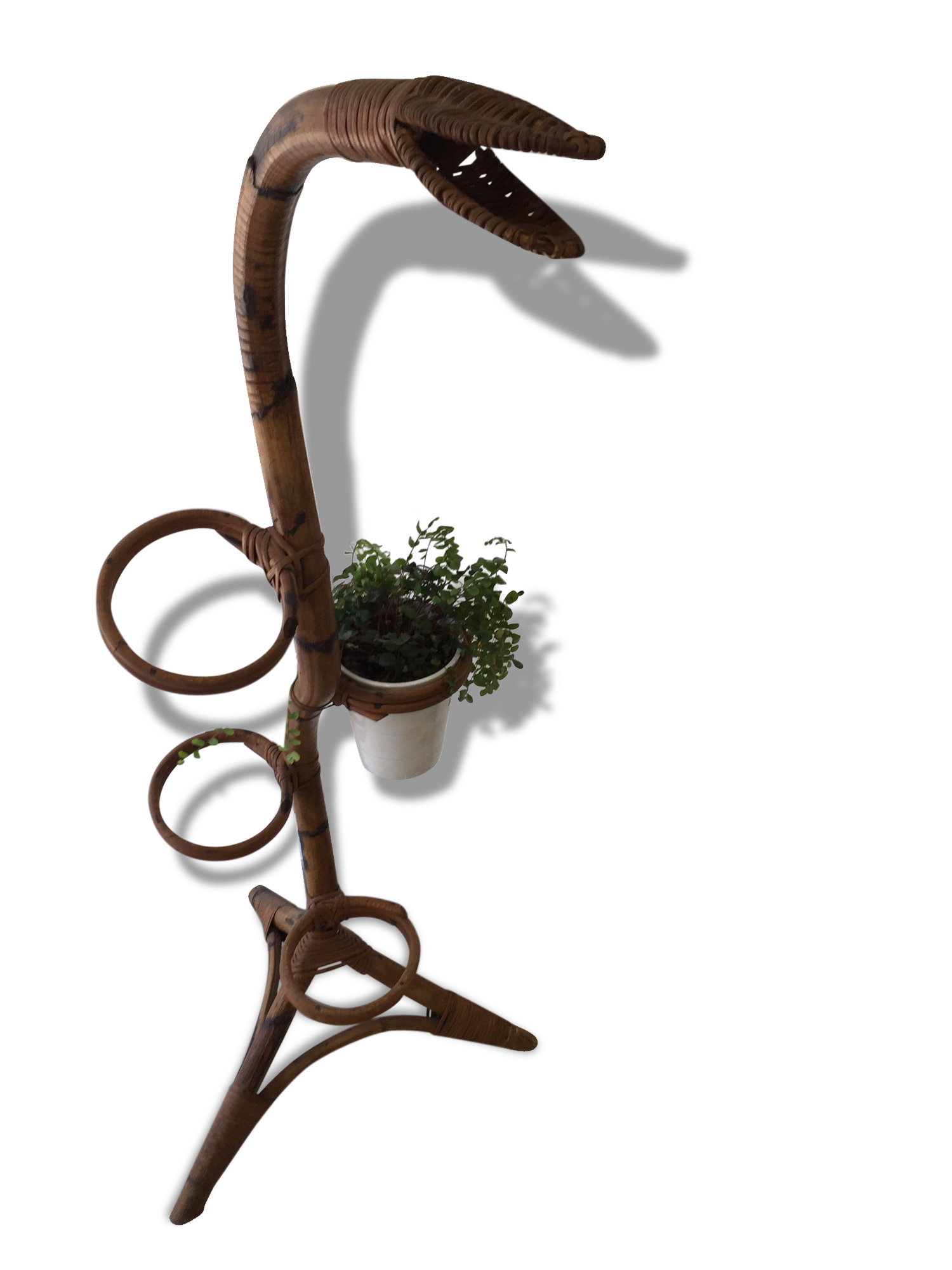 Support for plants