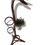 Support for plants