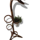 Support for plants