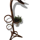 Support pour plantes
