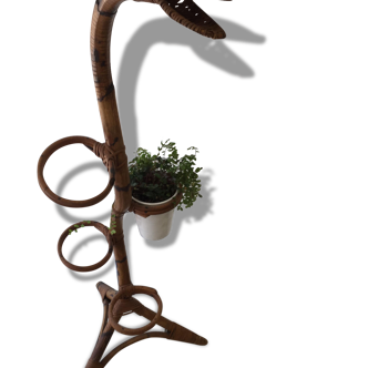 Support for plants